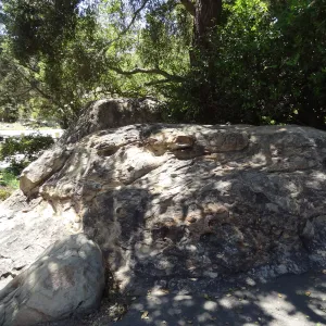 Entrance boulders