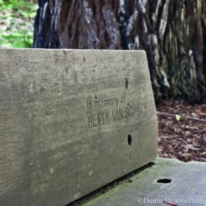 Redwood Section