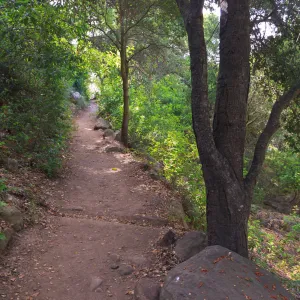 trail below Manzanita Section, dirt path