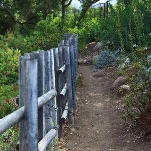 Tea House fence
