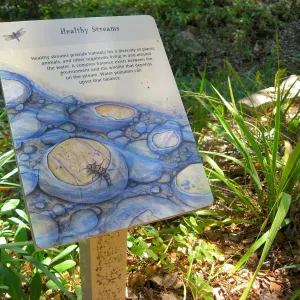 SBBG Discovery Garden signage, art by Peter Gaede