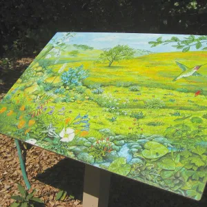SBBG Discovery Garden signage, art by Peter Gaede