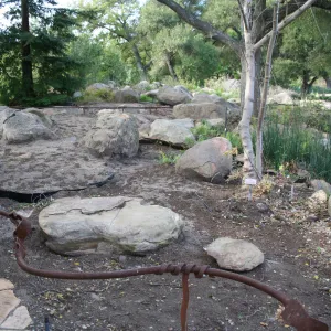 Construction of the Orchid Display