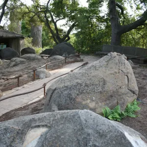 Construction of the Orchid Display