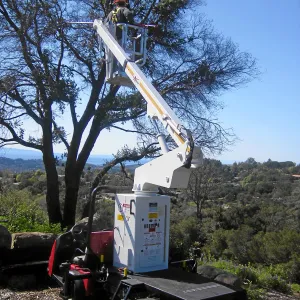 New cherry picker lift from 2009 Stanley Smith Grant