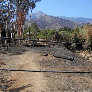 Jesusita Fire aftermath, upper Tunnel Road gate, patially downed cables