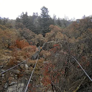 Jesusita Fire clearance