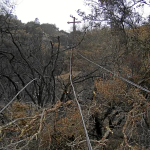 Jesusita Fire clearance