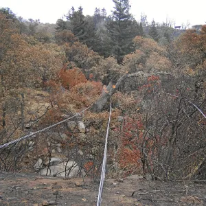 Jesusita Fire clearance
