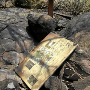 Jesusita Fire, damage to Home Demonstration Garden