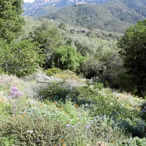 Porter Trail, East path, northeast