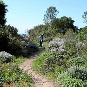 Porter Trail,East path south