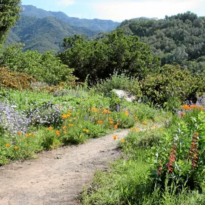 West path, east