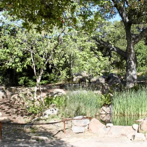 Meadow, Pond from main path, northwest