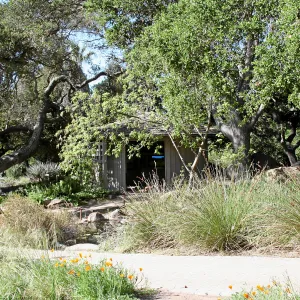 Meadow, Info Kiosk