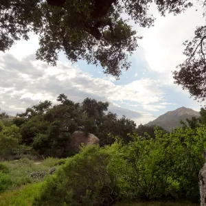 SBBG lower Meadow, monsoon clouds, late afternoon, natural window, view to mountains, Desert Section, Blaksley Boulder