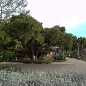 view from Meadow to the Gift Shop, Entrance oak, wood bench