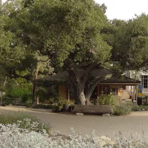 view from Meadow to Entrance Kiosk, Gift Shop, Desert Section, panorama