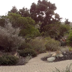view from Meadow to Desert Section, panorama