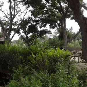 Information Kiosk and Meadow Pond, panorama