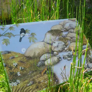 SBBG Discovery Garden signage, art by Peter Gaede