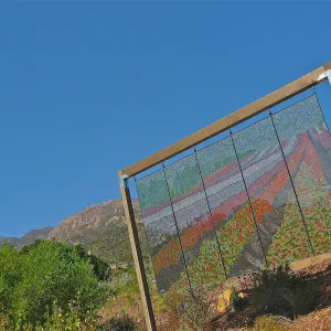 stained glass art exhibit, Porter Trail
