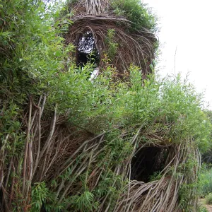 Toad Hall willow sculpture, SBBG