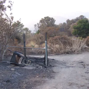 SBBG After the Jesusita Fire, fire damage on the east side of the Garden and at the Hort Unit