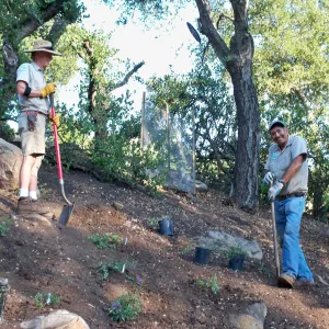 SBBG gardeners, Jay Kendall and Manuel Gonzalez