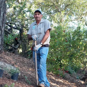 SBBG gardener Manuel Gonzalez