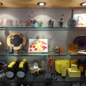SBBG Gift Shop interior, products