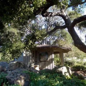 Information Kiosk under oak canopy