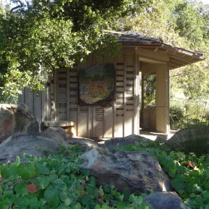 Information Kiosk under oak canopy