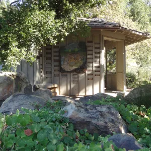 Information Kiosk under oak canopy