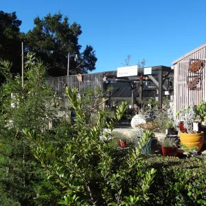 SBBG Garden Growers Nursery