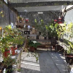 SBBG Garden Growers Nursery