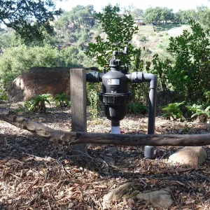 SBBG Irrigation system, canyon rim, Meadow Oaks