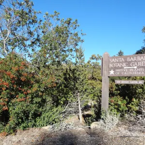 SBBG Entrance sign, wood sign, Santa Barbara Botanic Garden