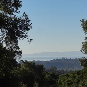 view from SBBG to Santa Cruz Island