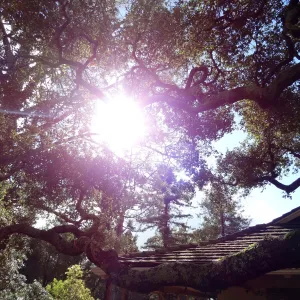 Sunlight, entrance near Gift Shop