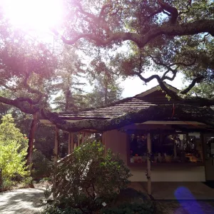 Sunlight, entrance near Gift Shop
