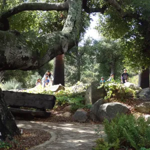 Visitors, wood bench, oak tree at the Information Kiosk