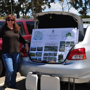 Native Plant Tour, UCSB San Nicholas wetlands