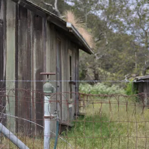 Garden field trip to Indian Knob, San Luis Obispo county