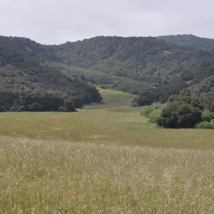 Garden field trip to Indian Knob, San Luis Obispo county