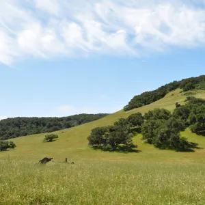 Garden field trip to Indian Knob, San Luis Obispo county
