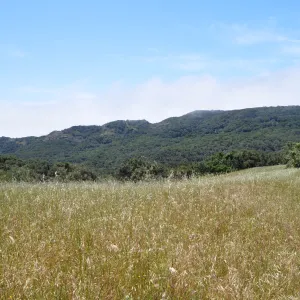 Garden field trip to Indian Knob, San Luis Obispo county