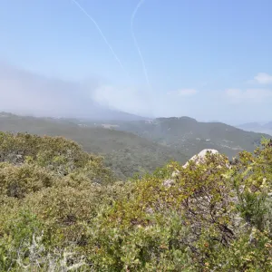 Garden field trip to Indian Knob, San Luis Obispo county