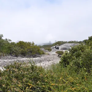Garden field trip to Indian Knob, San Luis Obispo county
