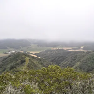 Garden field trip to Indian Knob, San Luis Obispo county